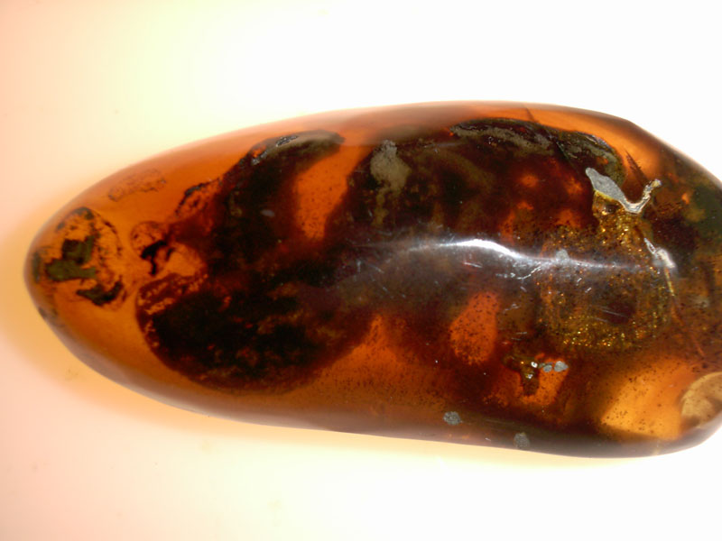 Honey Comb or Wasp Nest in Dominican Amber back side