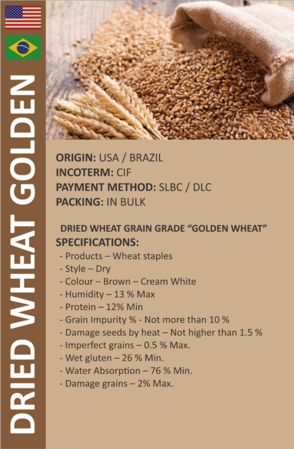 Dried Wheat Golden